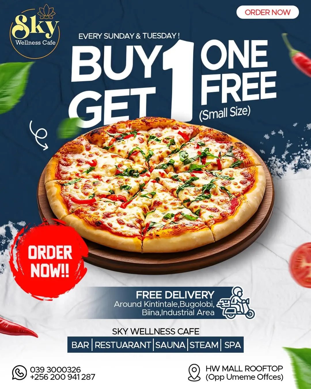 Sky wellness pizza offer